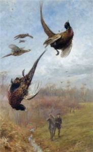 Охота на фазанов.
