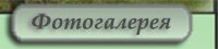 Фотогаллерея